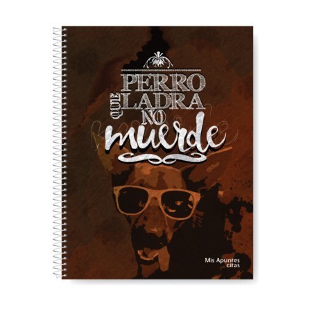 58_59_Apuntes2017cs5 CUADERNO 29.7 CON ESPIRAL CITAS X 120 HOJAS RAYADAS APUNTES - Imagen 1