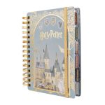 AGENDA 14X20 DIA X PAGINA HARRY POTTER MOOVING