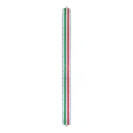 ESCALIMETRO 30 CM LINEAS DE COLOR CON ESCALAS PIZZINI - Imagen 11