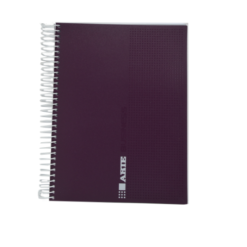 CUADERNO 16X21 CON ESPIRAL BUSSINES X 120 HOJAS ARTE