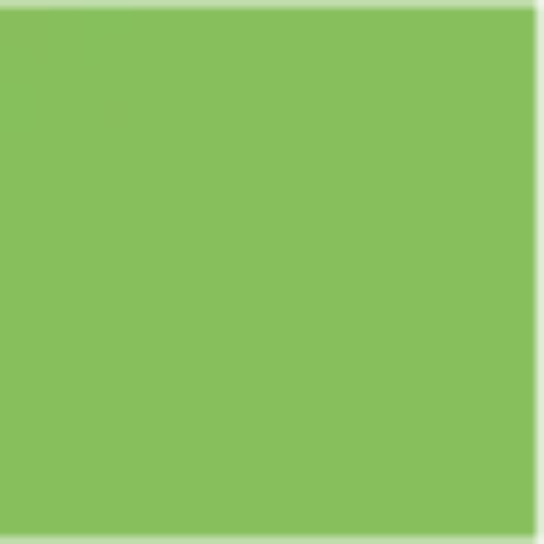 113085 GOMA EVA FLUO LISA VERDE 40X60 ASB - Imagen 1