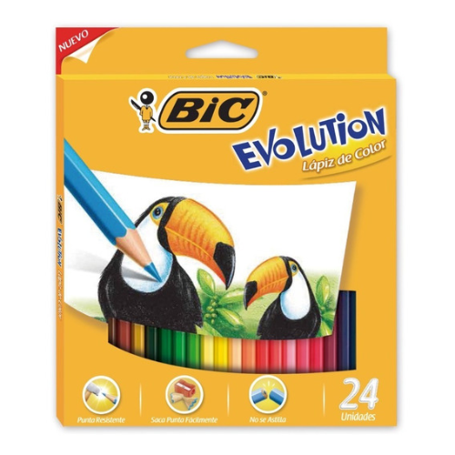 117553 LAPIZ COLOR X 24 UNIDADES LARGOS EVOLUTION BIC - Imagen 1