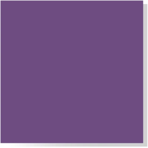 GOMA EVA LISA VIOLETA 60X40 ASB