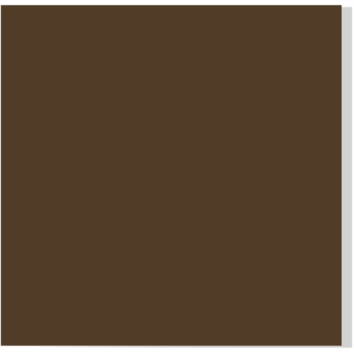 GOMA EVA LISA MARRON CHOCOLATE 60X40 ASB