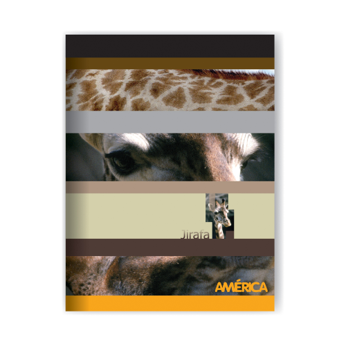 CUADERNO 16X21 TAPA FLEXIBLE X 24 HOJAS AMERICA