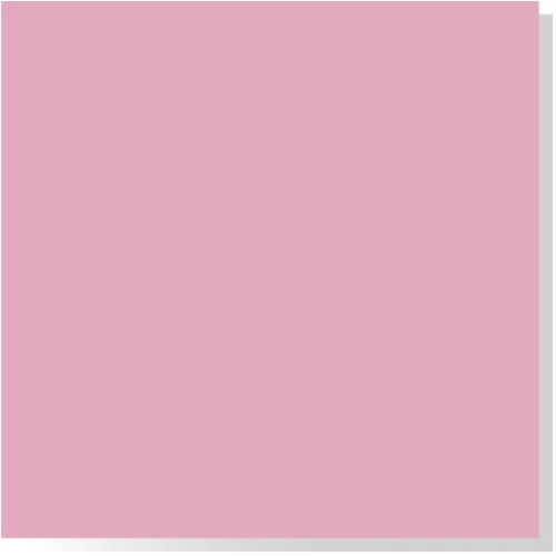 GOMA EVA LISA ROSA 60X40 ASB