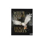 CUADERNO 19.5X24 TAPA DURA COSIDO HARRY POTTER X 48 HOJAS