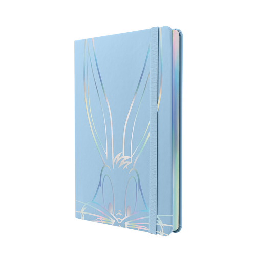 149890 CUADERNO 14.8X21 TAPA DURA LOONEY TUNES X 80 HOJAS RAYADAS - Imagen 1