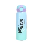 BOTELLA 500 ML TECH CHIMOLA