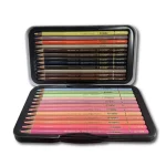 LAPIZ COLOR X 24 LARGOS POLICROMO PROFESIONAL LATA COLORES PIEL NYONI - Imagen 2
