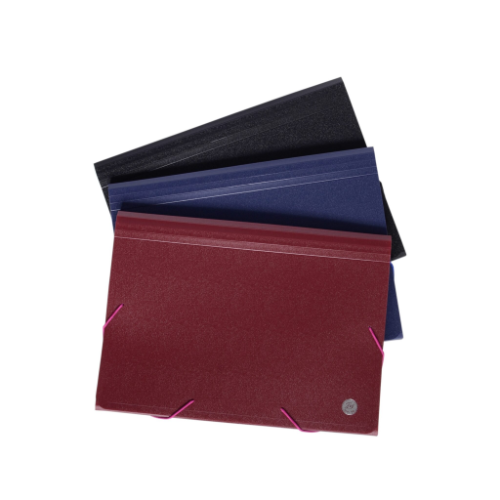 159636 CARPETA OFICIO FUELLE 12 DIV FW - Imagen 1