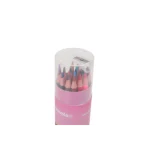 LAPIZ COLOR X 24 UNIDADES LARGOS CON SACAPUNTAS POODLE - Imagen 3